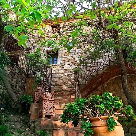 Serola 3*